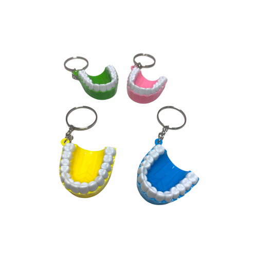 Llavero de arcada dental 