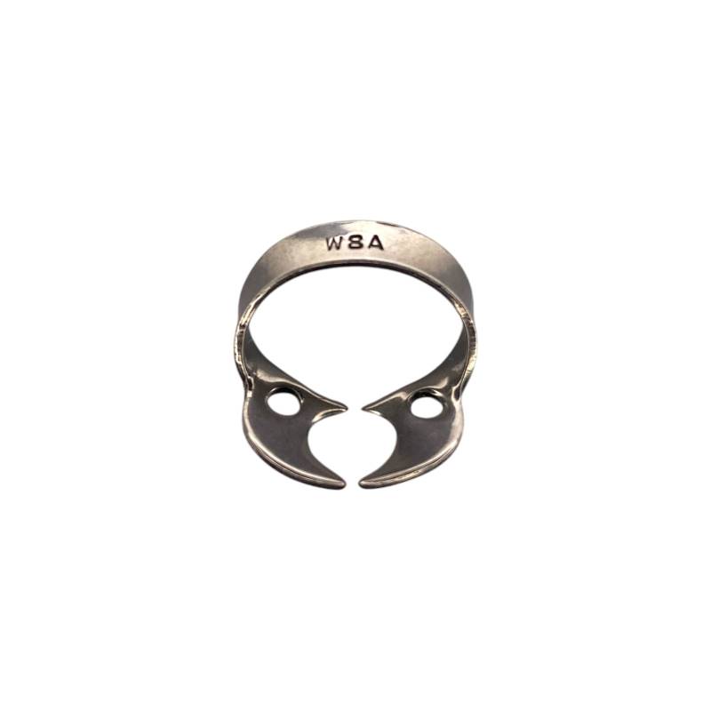 Clamp W8A Molar