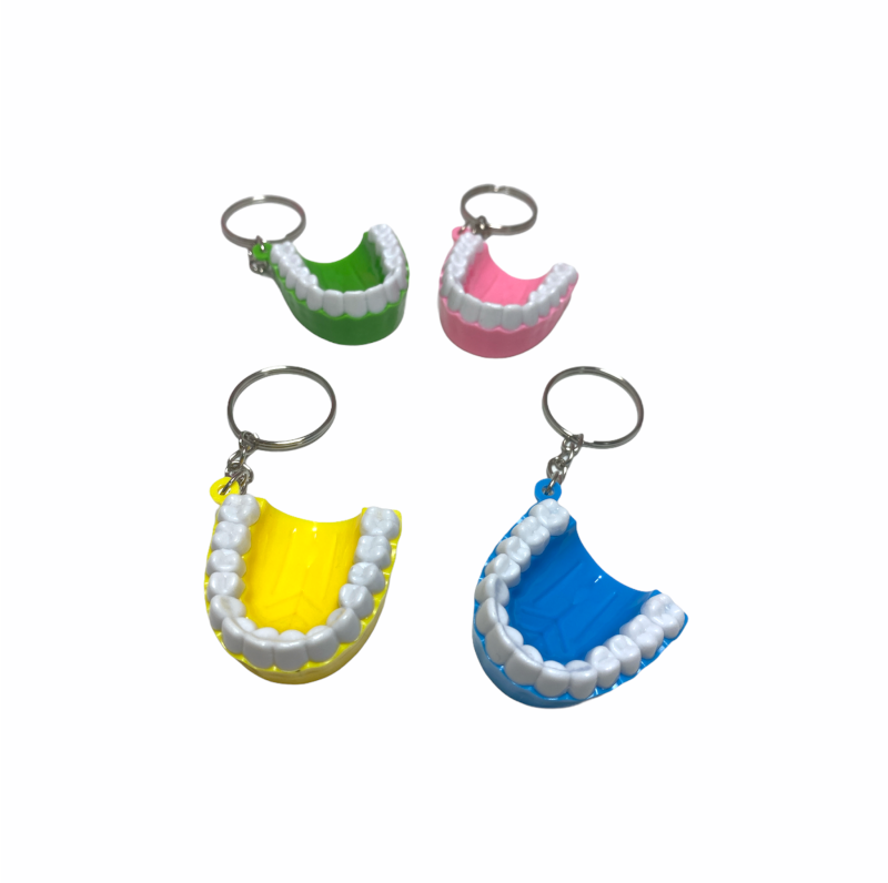 Llavero de arcada dental 